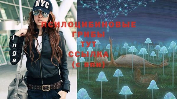 ALPHA PVP Алексеевка