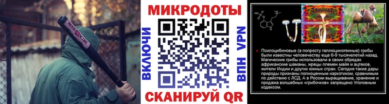 Псилоцибиновые грибы GOLDEN TEACHER  где купить   Катав-Ивановск 