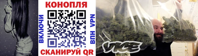 где найти наркотики  blacksprut ТОР  Шишки марихуана White Widow  Катав-Ивановск 